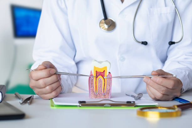 Best Dentist Open Late Near Me  in Elleale, ND
